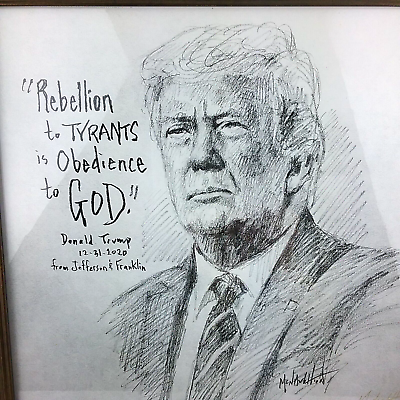 Donald Trump Drawing Personal Message Signed Dated 2020 Custom Frame 23 200 $257.97