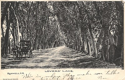 #ad Roswell NM Horse amp; Buggy Lady in Back Lover#x27;s Lane Where They Make War Talk 1906 $6.00