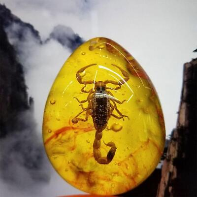 #ad Insect Stone Scorpions Inclusion Amber Resin Baltic Pendant Decoration S9C0 $2.60