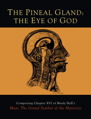 #ad The Pineal Gland: The Eye of God Paperback $6.45