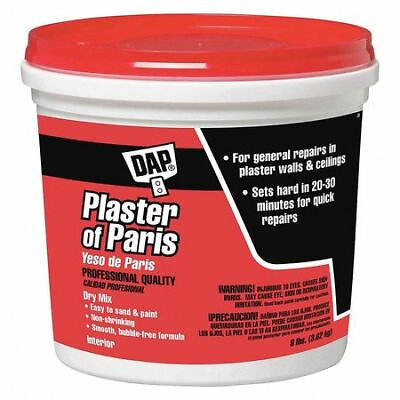 #ad Dap 10310 Plaster Of Paris 8 Lb Bag White Plaster Of Paris $9.49