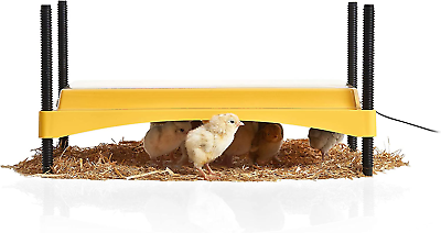 #ad Products Ecoglow Safety 1200 Brooder for Chicks or Ducklings Yellow Black $218.99