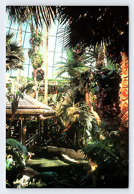 #ad The Mirage Las Vegas Nevada Vintage 4x6 Postcard OLP11 $1.25