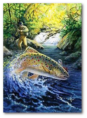 #ad 5D Diamond Painting Kit Picture Square Round Drills Rhinestone Fish Man DIY Art $36.75