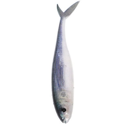 #ad Vivid Fish for Salt Fresh Water Fishing $7.88