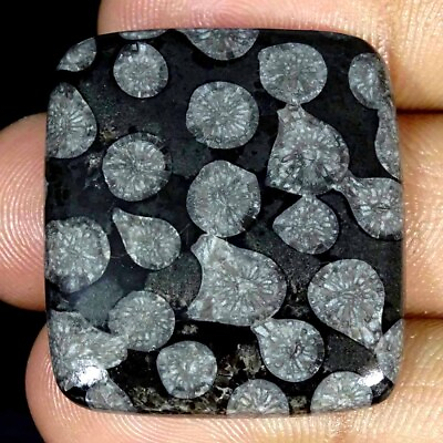 #ad 46.50Cts Natural Black Fossilized Coral Cushion Cab Loose Gemstone 29x32x5mm $6.99