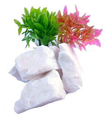 #ad Natural Specimens White Agate Reiki Crystal $38.59