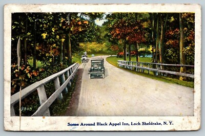 #ad Black Appel Inn Loch Sheldrake New York Postcard c1915 $5.10
