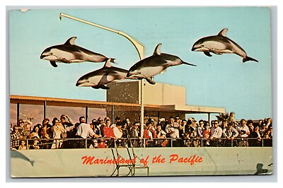 #ad Vintage 1967 Postcard High Flying Dolphins Marineland of the Pacific California $17.97