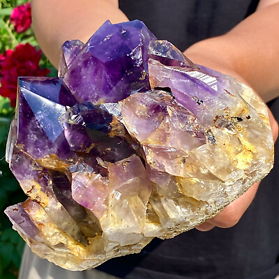 #ad 2.9LB Natural Amethyst backbone clustercrystal rod point healing therapy $150.00