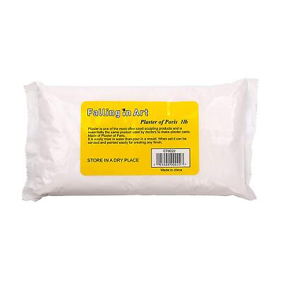 #ad 1lb Plaster of Paris Powder Hand Mold Casting Kit Powder Gypsum Cement Po $15.37