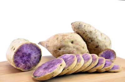 #ad 10 Hawaii Okinawa Purple Sweet Potato Slips NO Roots No Leaves Khoai Lang Tim $20.00