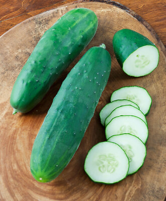 #ad 50 STRAIGHT 8 CUCUMBER SEEDS NON GMO FRESH FOR 2024 GARDENS US SELLER $2.03