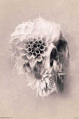 #ad DECAY SKULL BY GULEC 24 X 36 POSTER $14.95