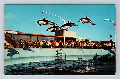 #ad Palos Verdes CA California High Flying Dolphins Antique Vintage Postcard $7.99