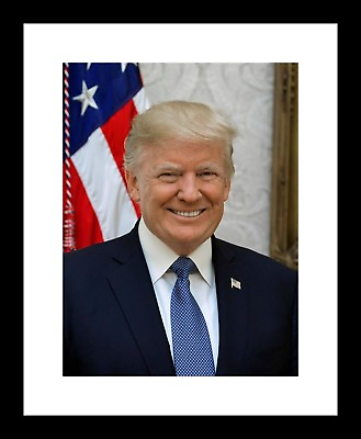 #ad DONALD TRUMP Official Portrait 5x7 Print Photo United States President $8.99