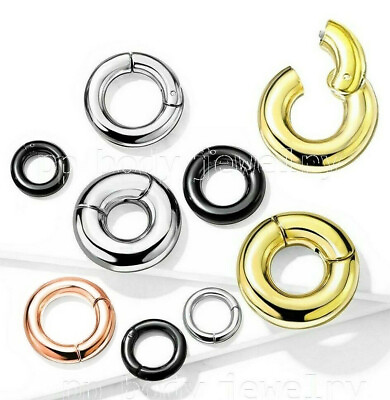 #ad Large Gauge Hinged Clicker Segment Ring PVD Surgical Steel Earring Septum Ring $4.33