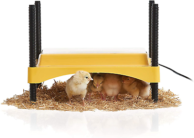 #ad Ecoglow 20 Safety 600 Brooder For Chicks Or Ducklings Pet Supplies $99.48