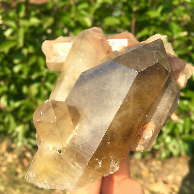 #ad 391g Natural Citrine Quartz Crystal Cluster Mineral Specimen $45.50
