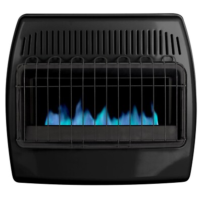 30000 BTU Black Dual Fuel Blue Flame Vent Free Floor Wall Thermostatic Heater $298.99