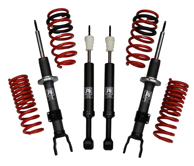 #ad Challenger Charger 300 Petty#x27;s Garage Performance Lowering Springs Shocks JRI $2295.00