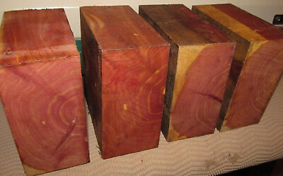 #ad FOUR EASTERN RED CEDAR BOWL BLANKS LUMBER LATHE WOOD TURNING 6quot; X 6quot; X 3quot; $49.95