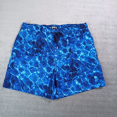 #ad Capelle Miami Swim Trunks Mens Large Blue Hybrid Compression Lined Water Pattern $26.50
