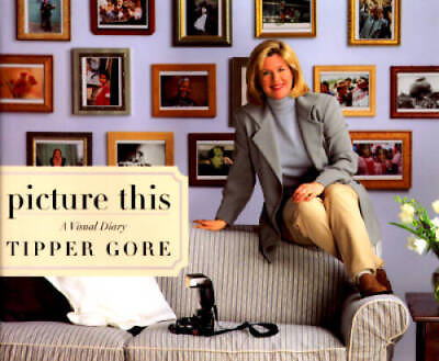 #ad Picture This: A Visual Diary Hardcover By Gore Tipper GOOD $4.39