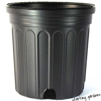 #ad 1 Gallon Nursery Pot Trade Gallon Flower Pot Qty. 100 Trade One Gallon $42.99