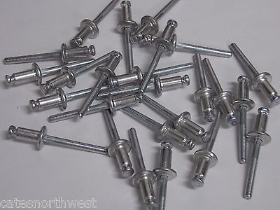 #ad 25 1 4quot; Window Regulator Rivets For GM Ford and Chrysler $11.75