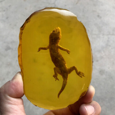 #ad Beautiful Amber Fossil Insects Manual Polishing Gecko Amber Ornaments $15.34