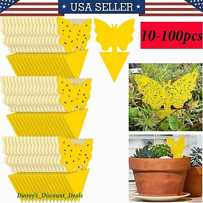 10 100pcs Sticky Fruit Fly Traps Fungus Gnat Killer Trap use for Indoor Outdoor $3.99