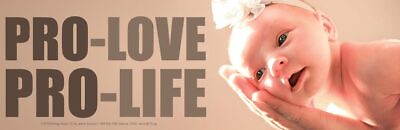 #ad Pro Love Pro Life Pro Life Bumper Sticker $4.99