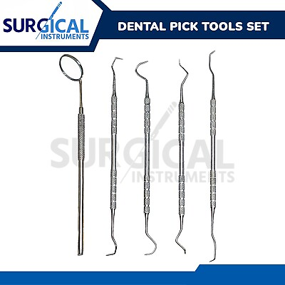 #ad 1 Set Dental Pick amp; Mirror Tools Sculpture Instrument Double End Oral Kit German $7.10