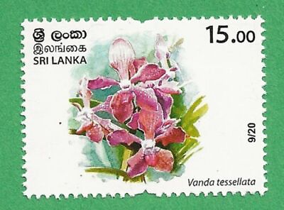 #ad Checkered Vanda stamp MNH 2020 Sri Lanka Scott 2236 $0.99