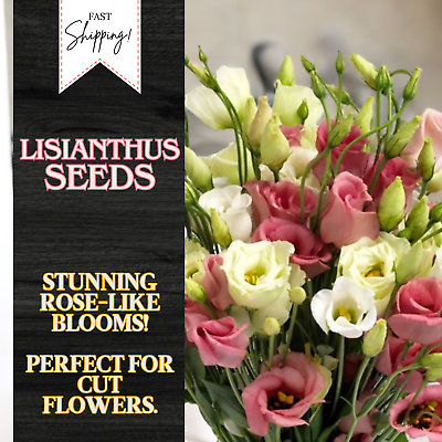 #ad Lisianthus Seeds 100 Seeds Garden Bloom Flower Seed Flowers Non Gmo Heirloom $6.53