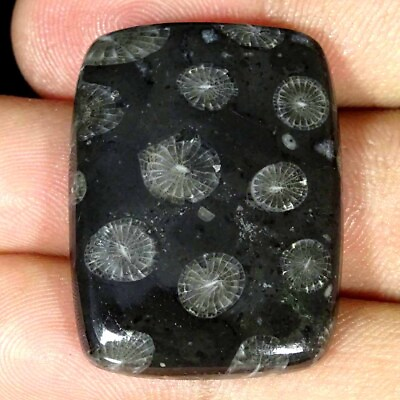 #ad 48.20Cts Natural Black Fossilized Coral Cushion Cabochon Loose Gemstone $6.99