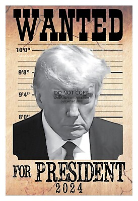 PRESIDENT DONALD TRUMP WANTED FOR PRESIDENT 2024 4X6 PHOTO $7.97