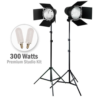 #ad 2x Continuous Output Light Photo Video Studio Kit BarnDoor Head Bulb Stand Kit $55.90