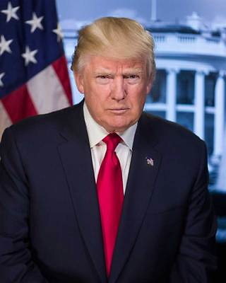 #ad Donald Trump President 8x10 Official Photo 017 $10.00