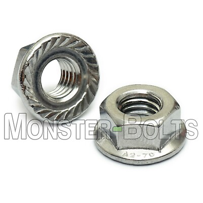 #ad Serrated Hex Flange Lock Nuts DIN 6923 A2 Stainless Steel M4 M5 M6 M8 M10 M12 $4.99