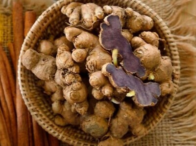 #ad 5 Bulbs Black Ginger Plant Kaempferia Parviflora Krachai Dam Thai Herb Natural $15.00