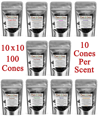 #ad 100 Charcoal Incense Cones 1quot; Variety Set 10 Packs of 10 Cones BULK LOT $13.95