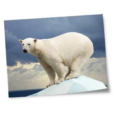 #ad 8x10quot; Prints No frames Polar Bear Ice Animals Wild #8586 GBP 4.99
