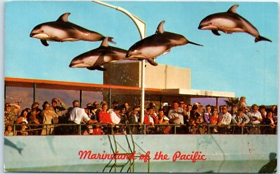#ad Postcard High Flying Dolphins Marineland Of The Pacific California $2.06