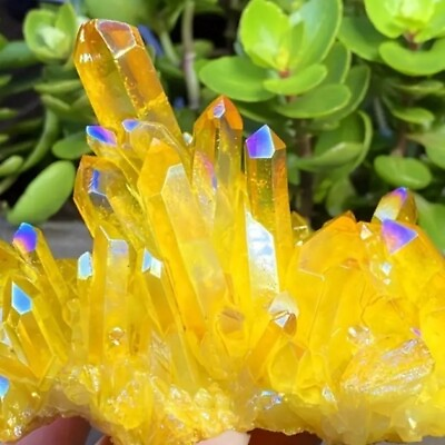 #ad Aura Yellow Citrine Quartz Crystal Titanium Cluster Healing Specimen Home Decor $14.50