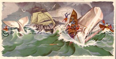 #ad WHALE New England Whaling Hunt HUGE Beautiful 1940s Children#x27;s Art Print $49.95