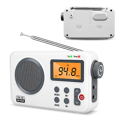 #ad Portable Digital LCD Radio AM FM Dual Channel Audio Receiver 3.5MM Earphone AUX $39.99