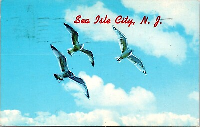#ad Sea Isle City NJ Greetings Sea Gulls Flying New Jersey postcard H542 $8.79