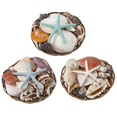 #ad 6 Shell Packs With Starfish in 6quot; Baskets Assorted Office Desk Gift Set of 6 $36.99